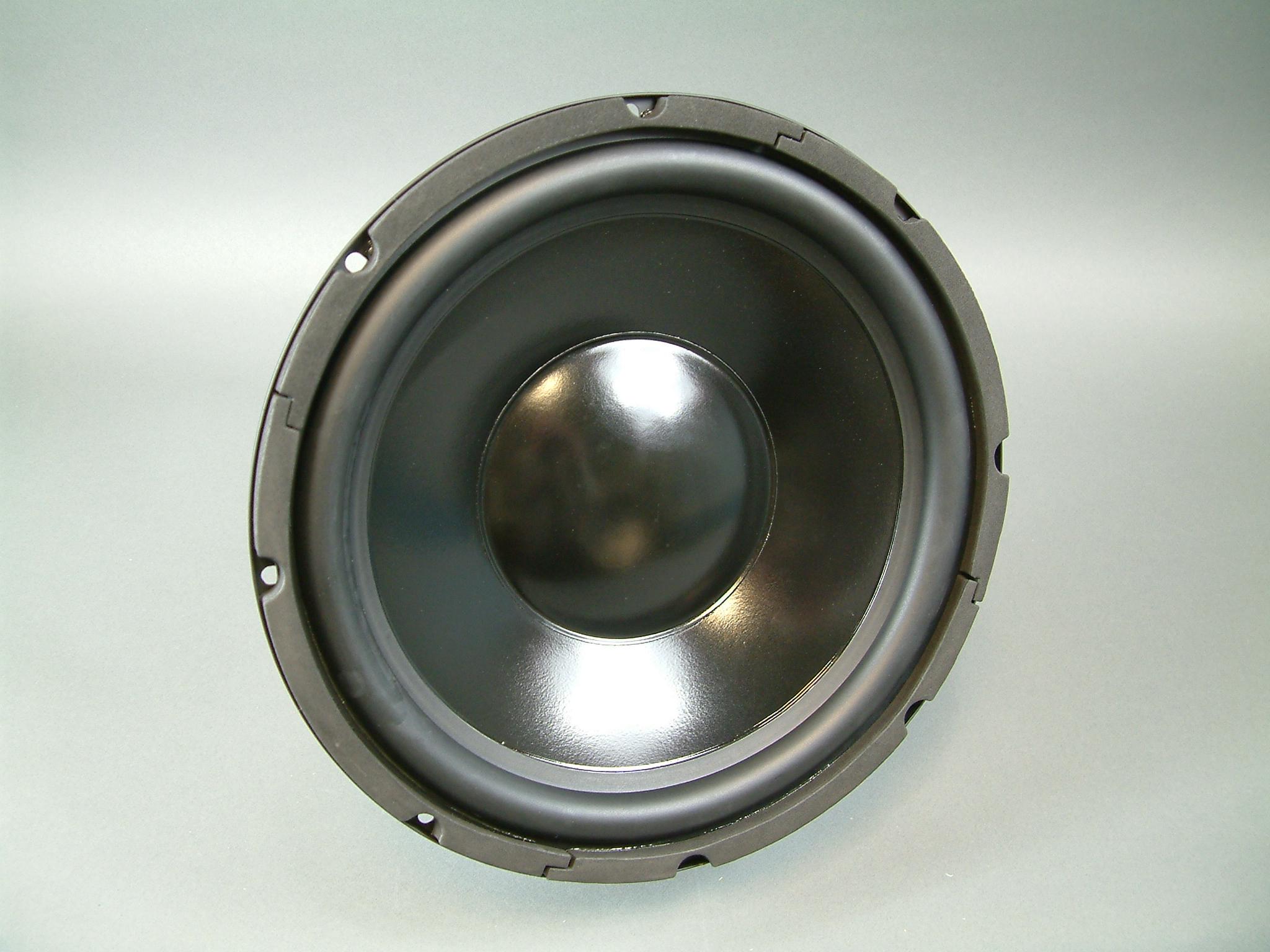 12 woofer speaker