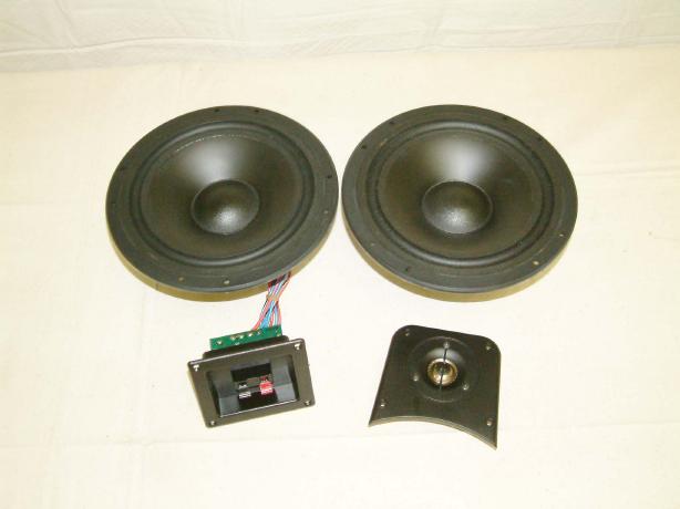 1 way speaker