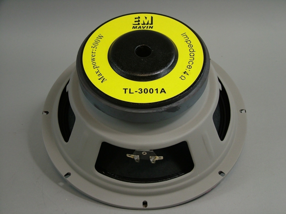 12 inch speaker woofer