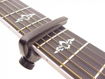 CAPO model PW-CP-02